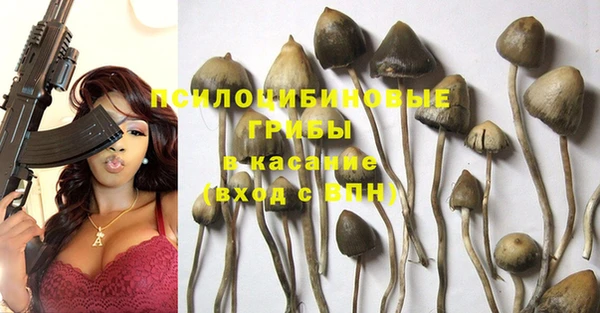 стафф Вязники