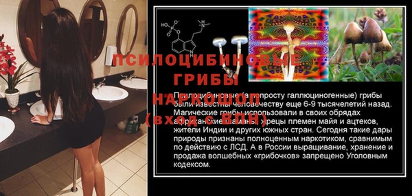 стафф Вязники